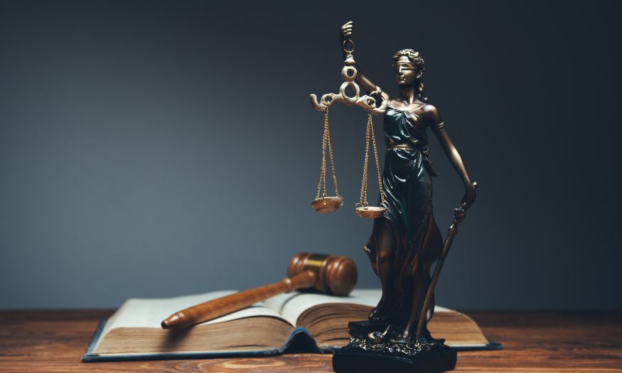 Legal Roles and Responsibilities  Board Members