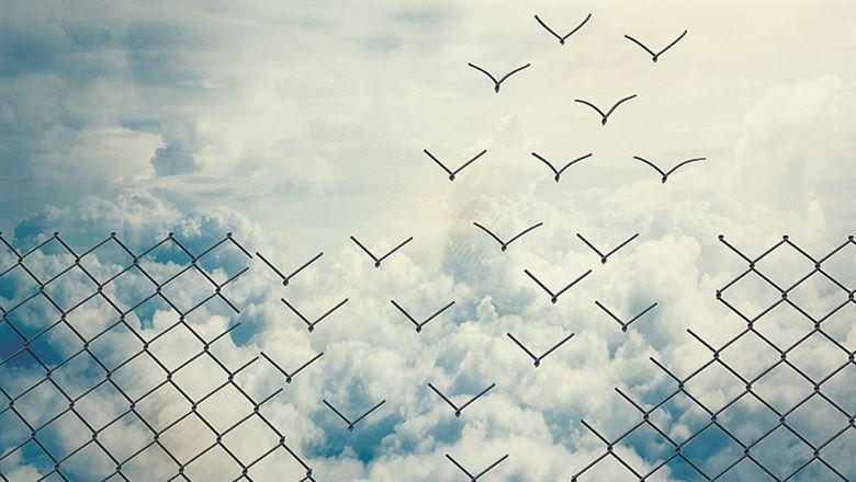 How AMCs Can Help When It’s Time for a Transition