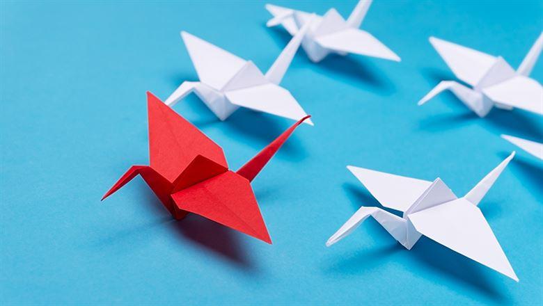 Steps to a Successful CEO Search and Succession
