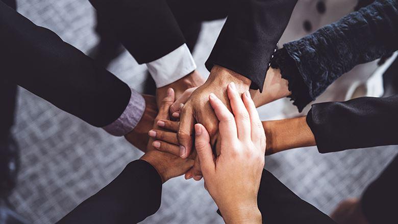 Enlist Board Members for Projects That Match Their Skills
